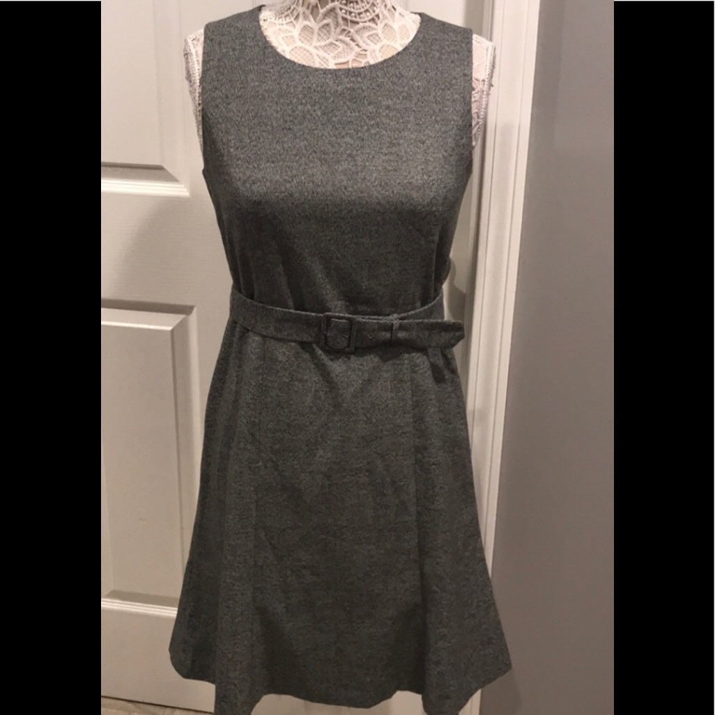 Brand New Ann Taylor Dress